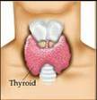 thyroid dia